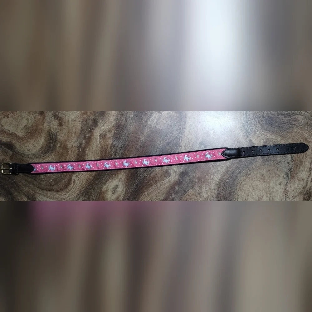Vineyard Vines Blue and Pink  Belt with Gold Buckle Size (28)